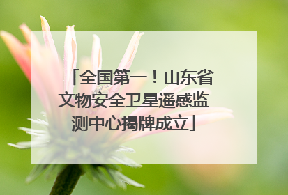 全国第一！山东省文物安全卫星遥感监测中心揭牌成立