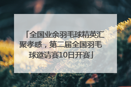 全国业余羽毛球精英汇聚孝感，第二届全国羽毛球邀请赛10日开赛