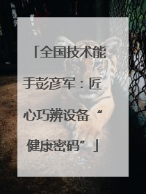 全国技术能手彭彦军：匠心巧辨设备“健康密码”