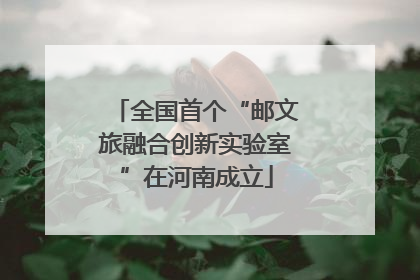 全国首个“邮文旅融合创新实验室”在河南成立