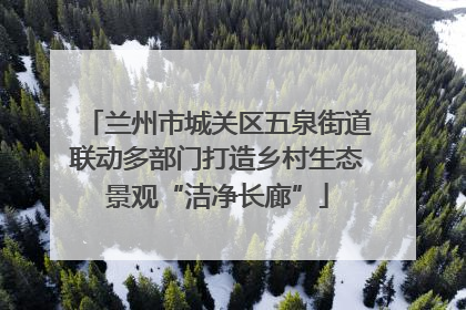 兰州市城关区五泉街道联动多部门打造乡村生态景观“洁净长廊”