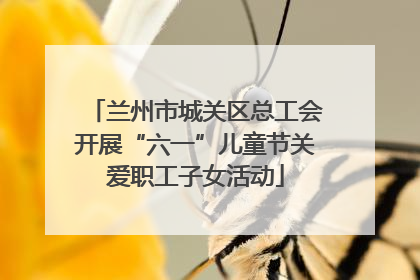 兰州市城关区总工会开展“六一”儿童节关爱职工子女活动