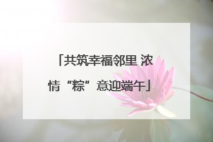 共筑幸福邻里 浓情“粽”意迎端午