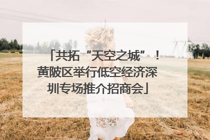 共拓“天空之城”！黄陂区举行低空经济深圳专场推介招商会