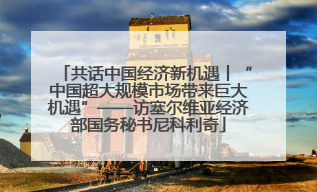 共话中国经济新机遇丨“中国超大规模市场带来巨大机遇”——访塞尔维亚经济部国务秘书尼科利奇