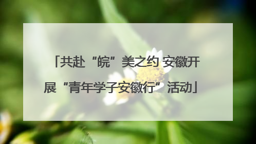 共赴“皖”美之约 安徽开展“青年学子安徽行”活动