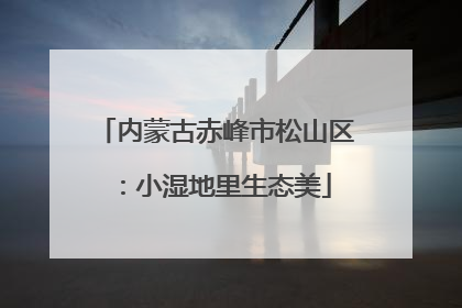 内蒙古赤峰市松山区：小湿地里生态美