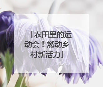 农田里的运动会！燃动乡村新活力