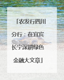 农发行四川分行：在宜宾长宁深耕绿色金融大文章
