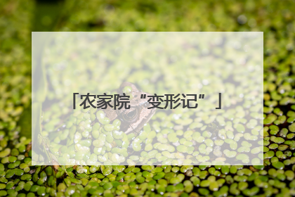 农家院“变形记”