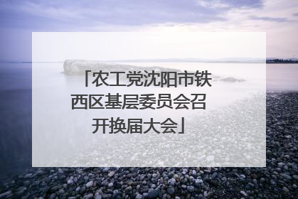农工党沈阳市铁西区基层委员会召开换届大会