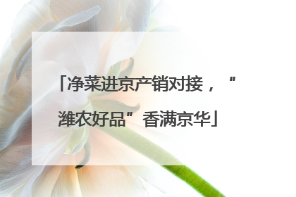净菜进京产销对接，“潍农好品”香满京华