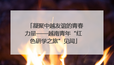 凝聚中越友谊的青春力量——越南青年“红色研学之旅”见闻