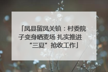 凤县留凤关镇：村委院子变身晒麦场 扎实推进“三夏”抢收工作