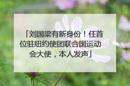 刘国梁有新身份！任首位驻纽约使团联合国运动会大使，本人发声
