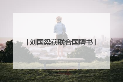 刘国梁获联合国聘书