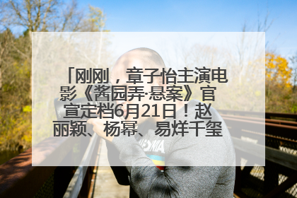 刚刚，章子怡主演电影《酱园弄·悬案》官宣定档6月21日！赵丽颖、杨幂、易烊千玺等角色海报曝光