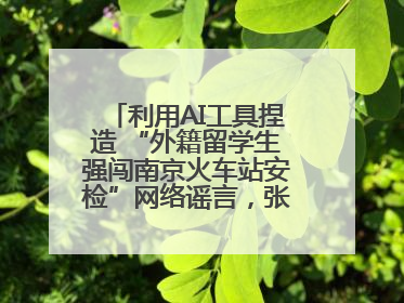 利用AI工具捏造 “外籍留学生强闯南京火车站安检”网络谣言，张某燕被行政拘留