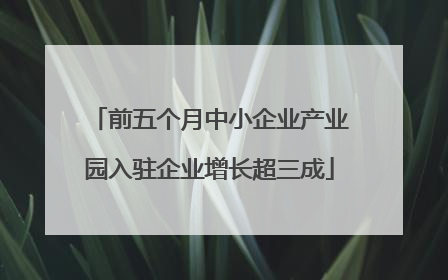 前五个月中小企业产业园入驻企业增长超三成
