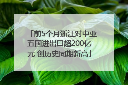 前5个月浙江对中亚五国进出口超200亿元 创历史同期新高