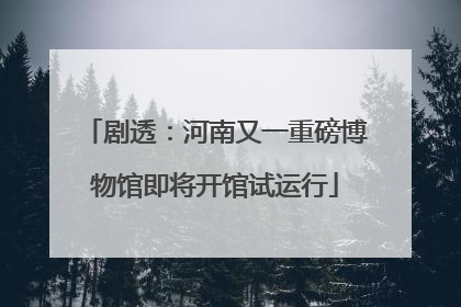 剧透：河南又一重磅博物馆即将开馆试运行
