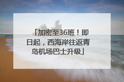 加密至36班！即日起，西海岸往返青岛机场巴士升级