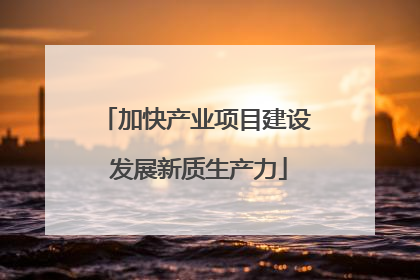 加快产业项目建设 发展新质生产力