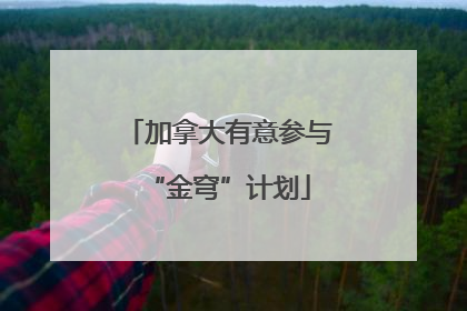 加拿大有意参与“金穹”计划