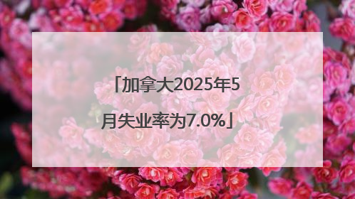 加拿大2025年5月失业率为7.0%