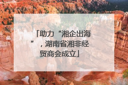 助力“湘企出海”，湖南省湘非经贸商会成立