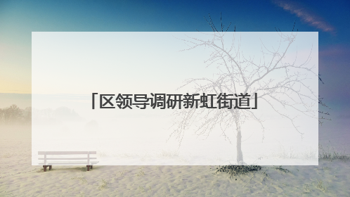 区领导调研新虹街道