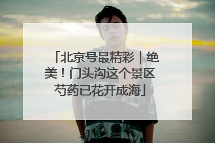 北京号最精彩｜绝美！门头沟这个景区芍药已花开成海