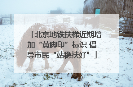 北京地铁扶梯近期增加“黄脚印”标识 倡导市民“站稳扶好”