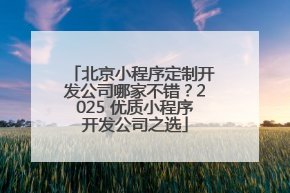 北京小程序定制开发公司哪家不错？2025 优质小程序开发公司之选