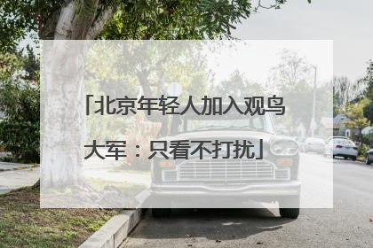 北京年轻人加入观鸟大军：只看不打扰