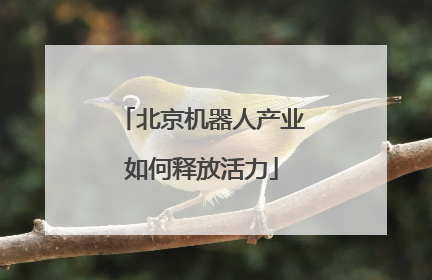 北京机器人产业如何释放活力