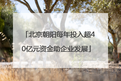 北京朝阳每年投入超40亿元资金助企业发展