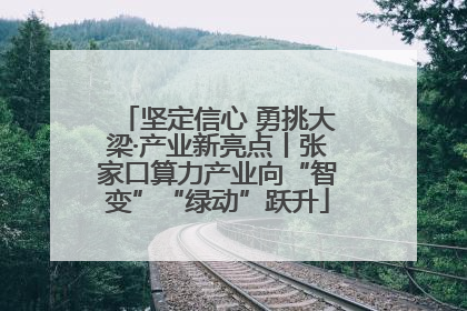 坚定信心 勇挑大梁·产业新亮点丨张家口算力产业向“智变”“绿动”跃升