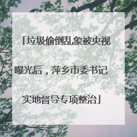 垃圾偷倒乱象被央视曝光后，萍乡市委书记实地督导专项整治