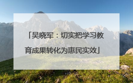 吴晓军：切实把学习教育成果转化为惠民实效