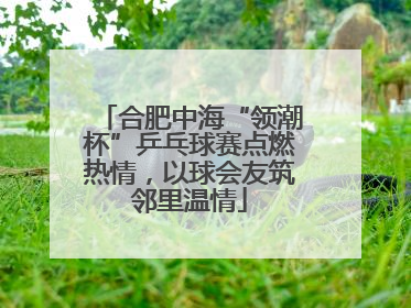 合肥中海“领潮杯”乒乓球赛点燃热情，以球会友筑邻里温情