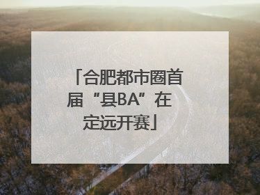 合肥都市圈首届“县BA”在定远开赛