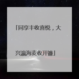 同享丰收喜悦，大兴瀛海麦收开镰