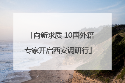 向新求质 10国外籍专家开启西安调研行