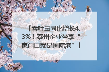 吞吐量同比增长4.3%！泰州企业坐享“家门口就是国际港”