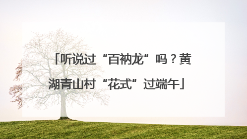 听说过“百衲龙”吗？黄湖青山村“花式”过端午