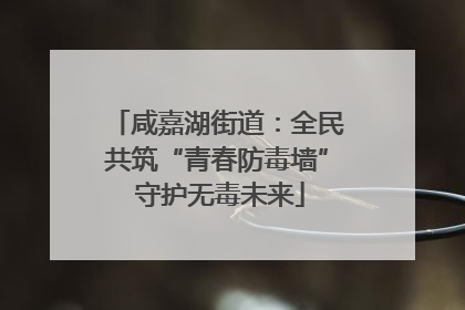 咸嘉湖街道：全民共筑“青春防毒墙” 守护无毒未来