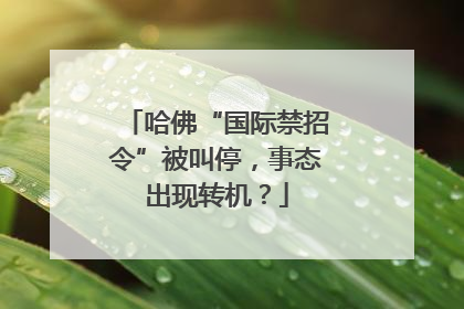 哈佛“国际禁招令”被叫停，事态出现转机？