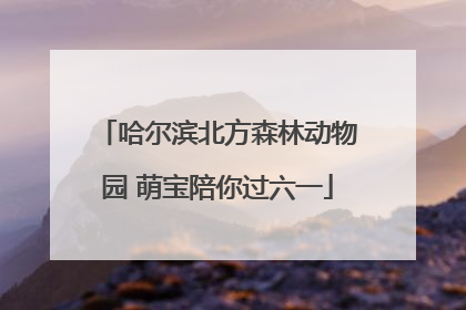 哈尔滨北方森林动物园 萌宝陪你过六一