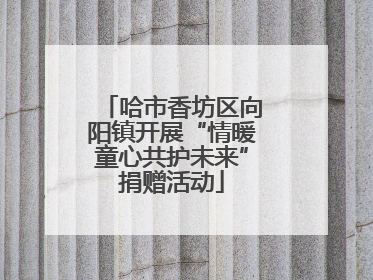 哈市香坊区向阳镇开展“情暖童心共护未来”捐赠活动